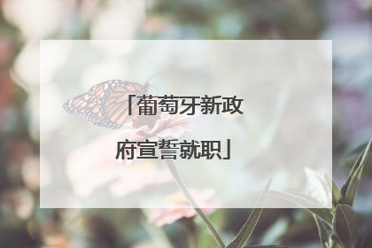 葡萄牙新政府宣誓就职